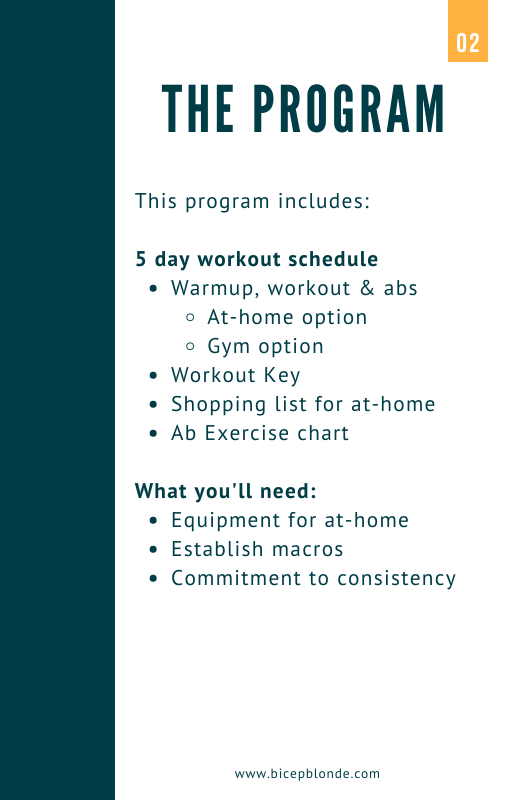 Transformation Workout Program & Macro e-Workbook