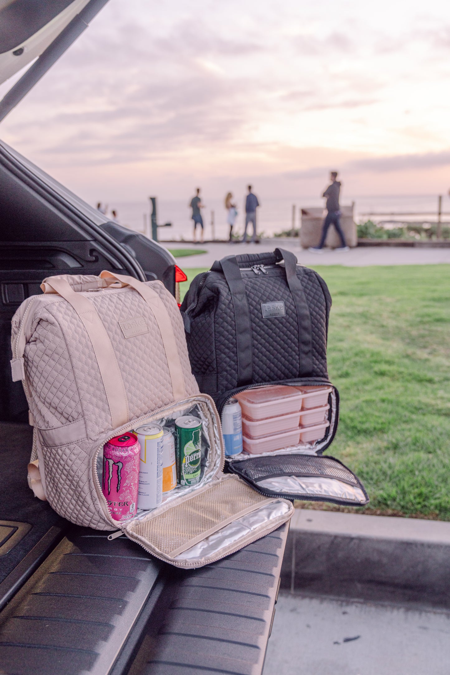 Backpack + Makeup bag organizer