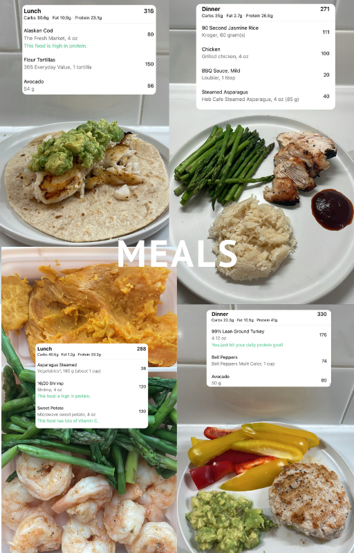 Transformation Workout Program & Macro e-Workbook